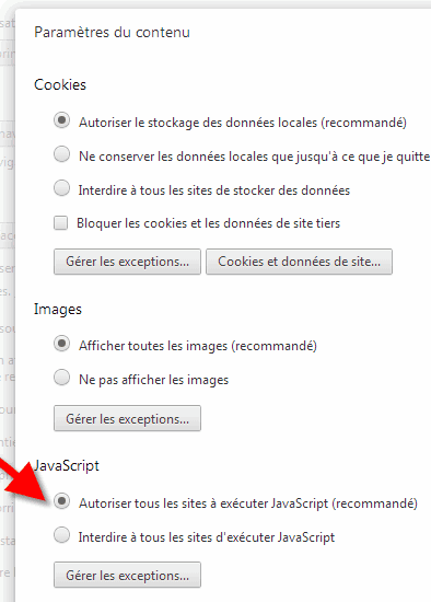 S lectionnez Autoriser Tous Les Sites Ex cuter Javascript 